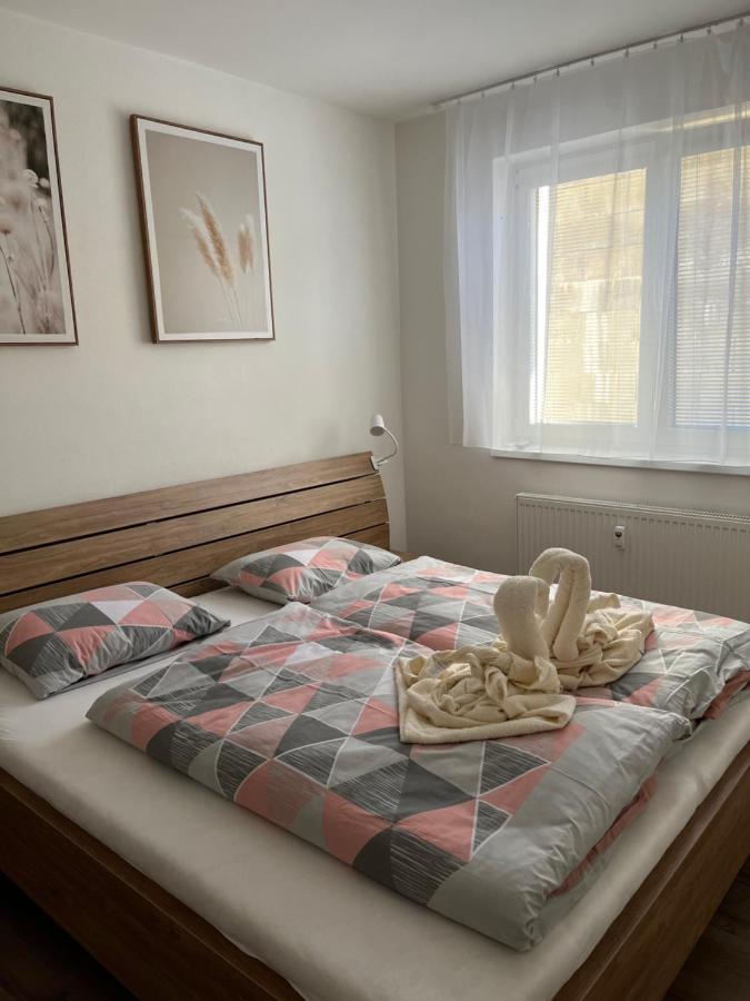 Novy Apartman V Arealu Wellness Hotelu Frymburk Buitenkant foto