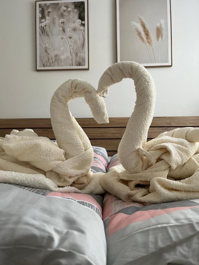 Novy Apartman V Arealu Wellness Hotelu Frymburk Buitenkant foto
