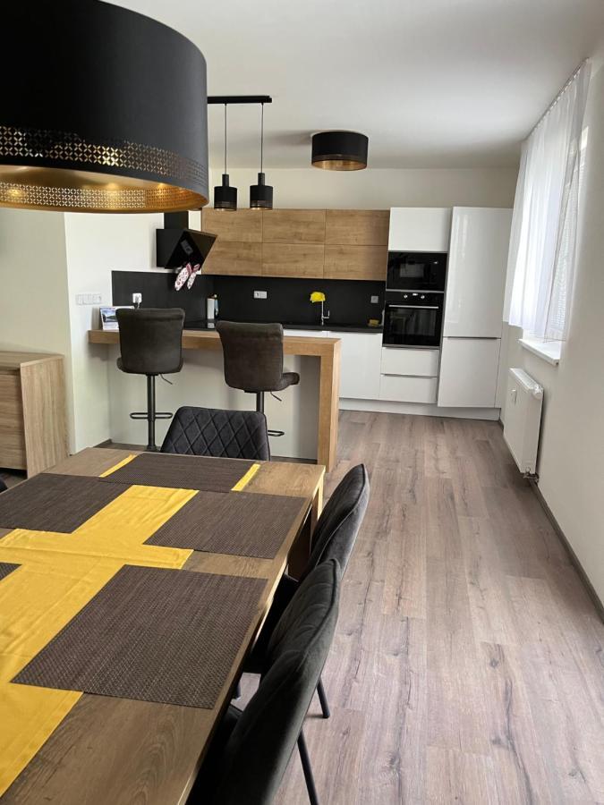 Novy Apartman V Arealu Wellness Hotelu Frymburk Buitenkant foto