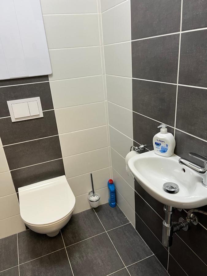 Novy Apartman V Arealu Wellness Hotelu Frymburk Buitenkant foto