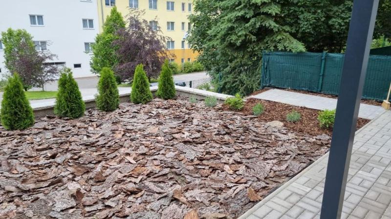 Novy Apartman V Arealu Wellness Hotelu Frymburk Buitenkant foto